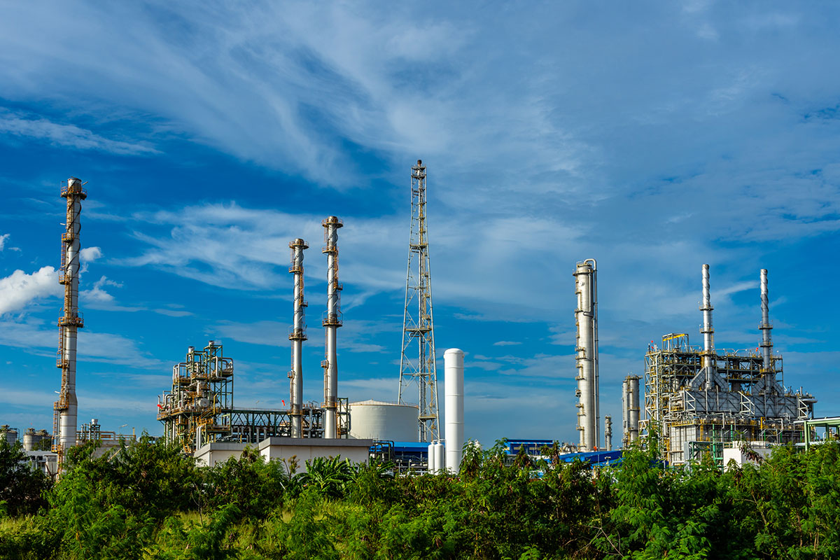 Legmodernebb feldolgozógépünk